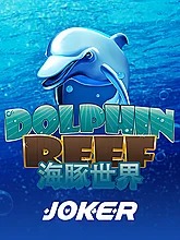 Dolphin Reef