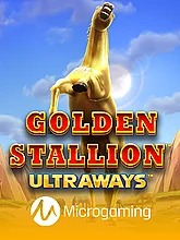 Golden Stallion